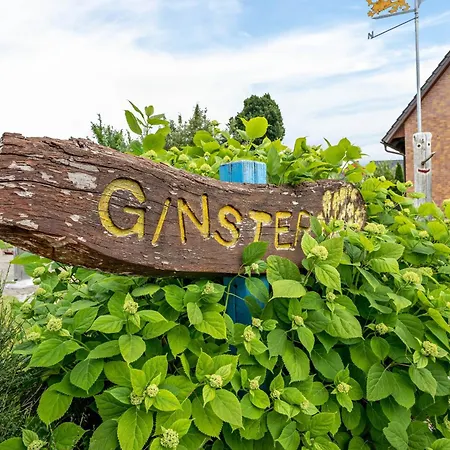 Haus Ginster Дом отдыха